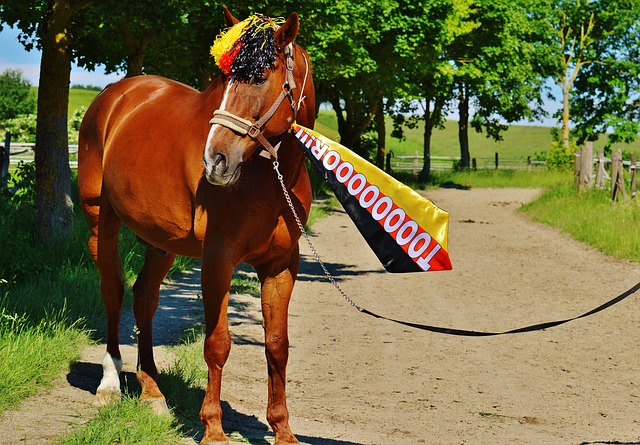 世体：巴萨方面正在研究法律漏洞，以将罗克卖给帕尔梅拉斯.