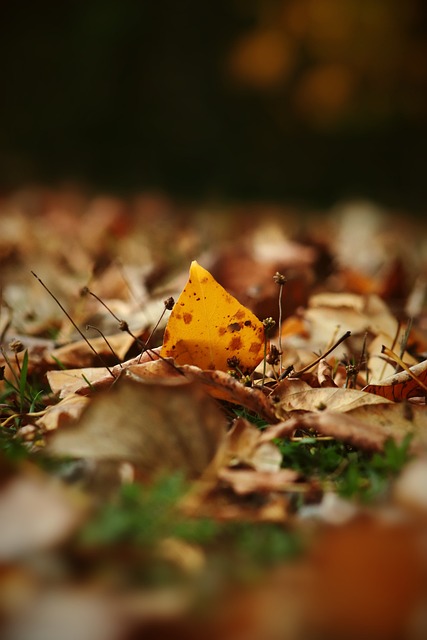 皇马vs曼城历史交锋纪录 两大豪门巅峰对决勇者胜.