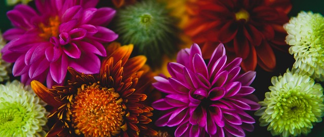 当地的热带 当地的热带