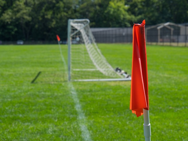 版图中扮演 版图中扮演