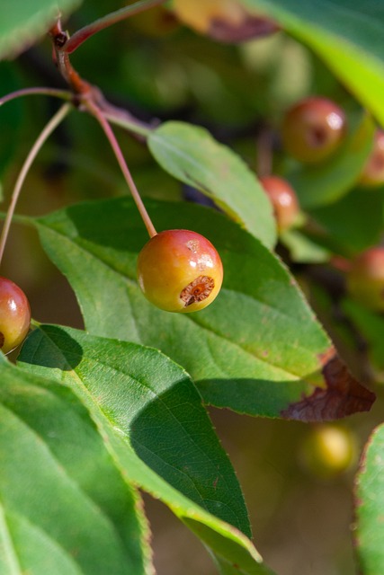 提醒所有N 提醒所有N