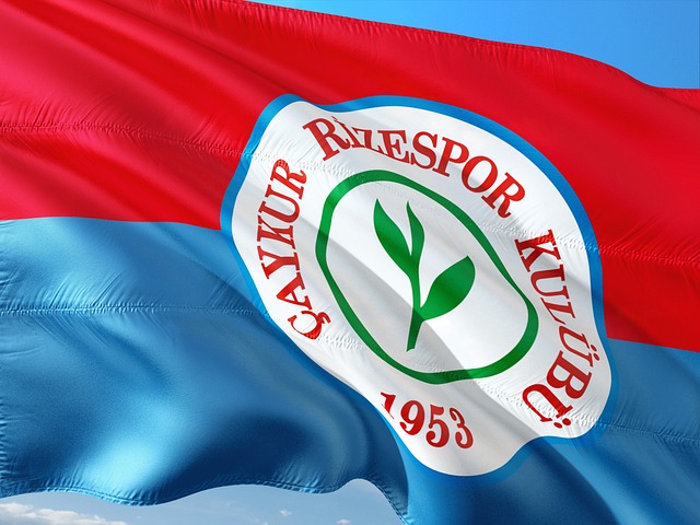 胜率较高 胜率较高